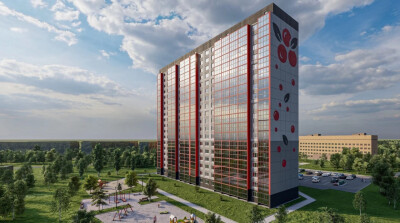 Калина Красная